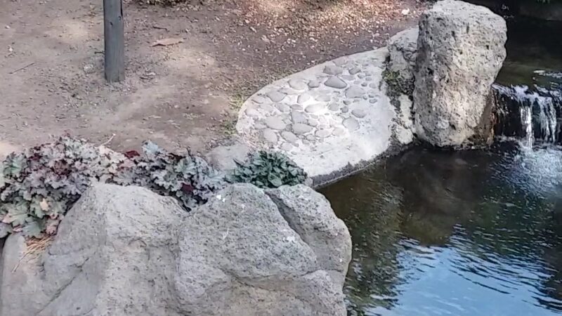 Sherman Park Dog Park - Yakima, WA