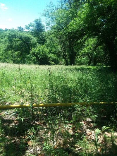 Brame Park - Yazoo City, MS