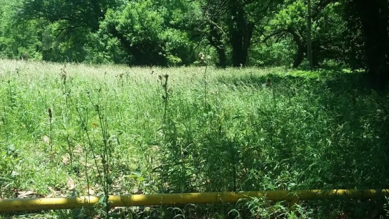 Brame Park - Yazoo City, MS