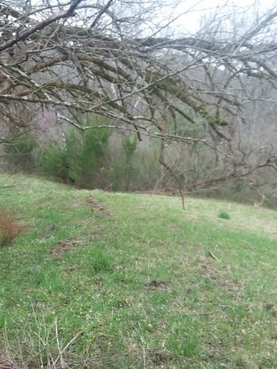 Brame Park - Yazoo City, MS