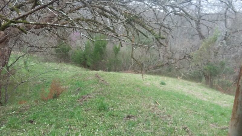 Brame Park - Yazoo City, MS