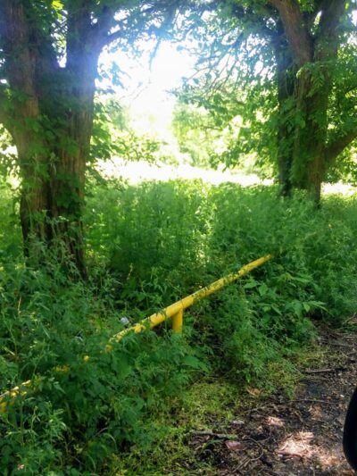 Brame Park - Yazoo City, MS