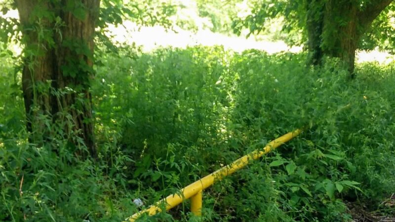 Brame Park - Yazoo City, MS