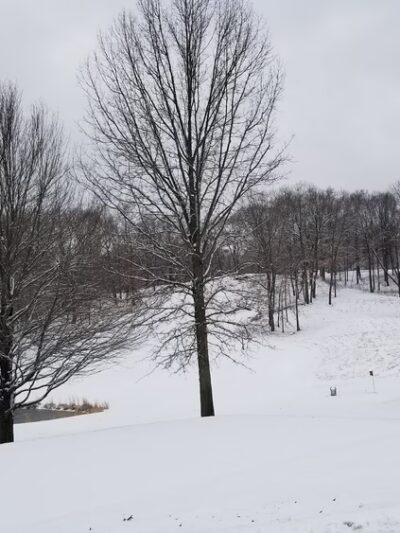 Sprain Ridge Park - Yonkers, NY