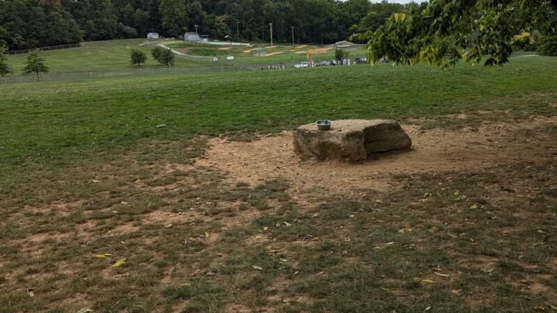 Dog Park Parking - York, PA
