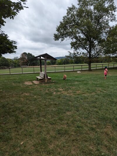 Dog Park Parking - York, PA