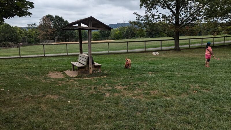 Dog Park Parking - York, PA