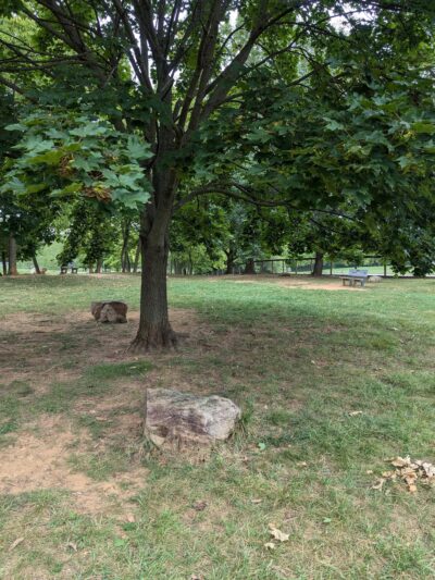 Dog Park Parking - York, PA