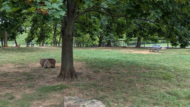 Dog Park Parking - York, PA