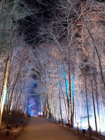 Crom Pond Trail - Yorktown Heights, NY