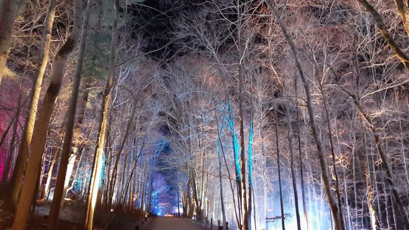 Crom Pond Trail - Yorktown Heights, NY