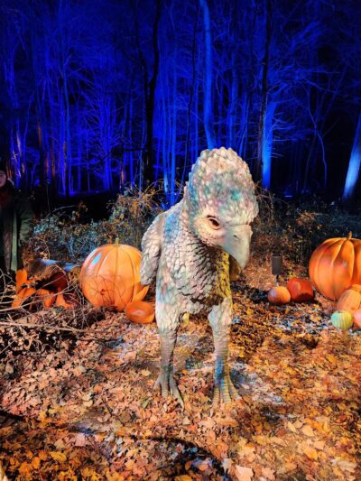 Crom Pond Trail - Yorktown Heights, NY