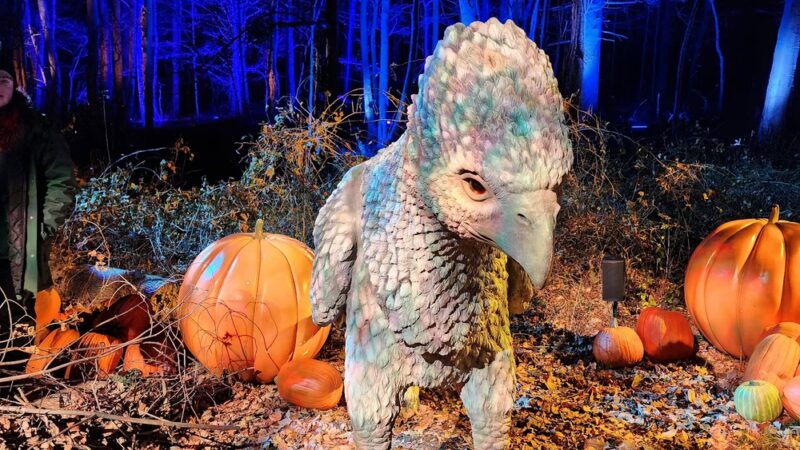 Crom Pond Trail - Yorktown Heights, NY