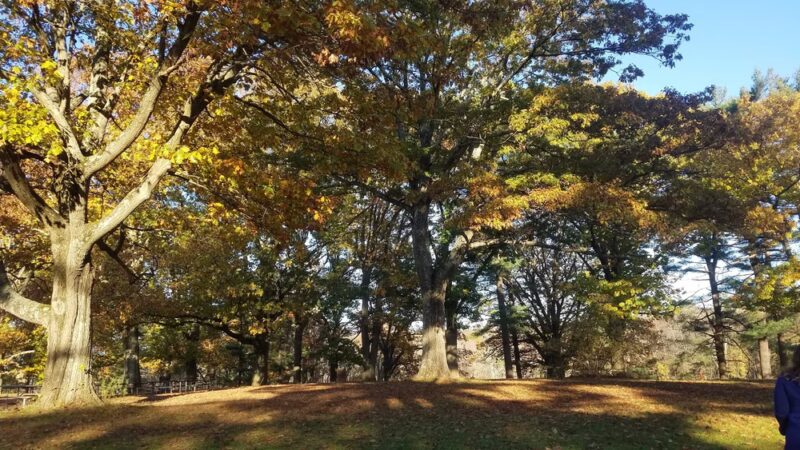 Downing Park - Yorktown Heights, NY