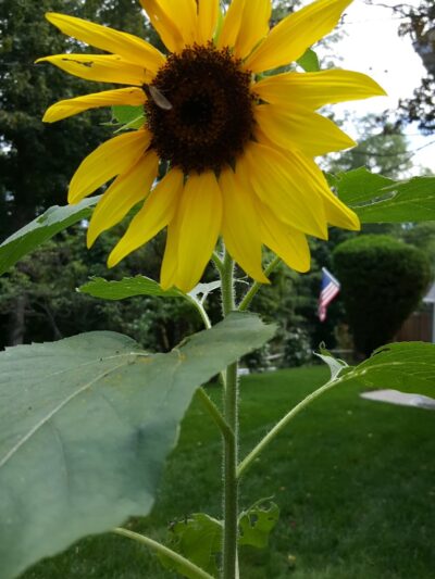 Sparkle Lake Park - Yorktown Heights, NY