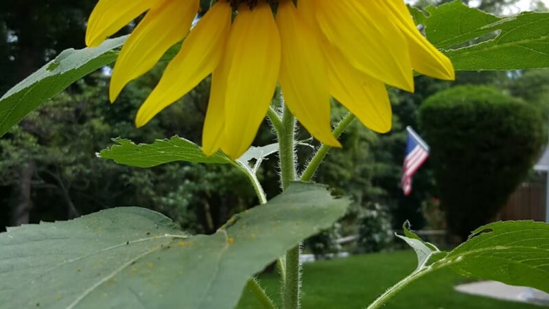 Sparkle Lake Park - Yorktown Heights, NY