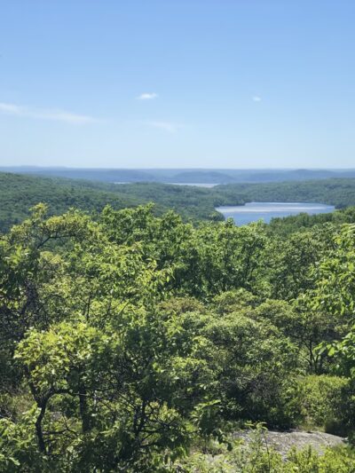Turkey Mountain Nature Preserve - Yorktown Heights, NY