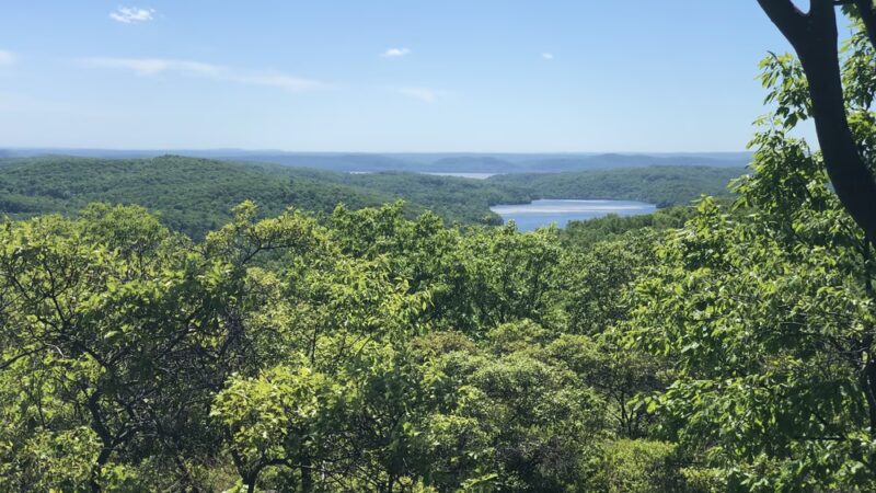 Turkey Mountain Nature Preserve - Yorktown Heights, NY