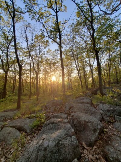 Turkey Mountain Nature Preserve - Yorktown Heights, NY