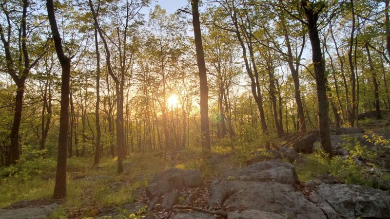 Turkey Mountain Nature Preserve - Yorktown Heights, NY