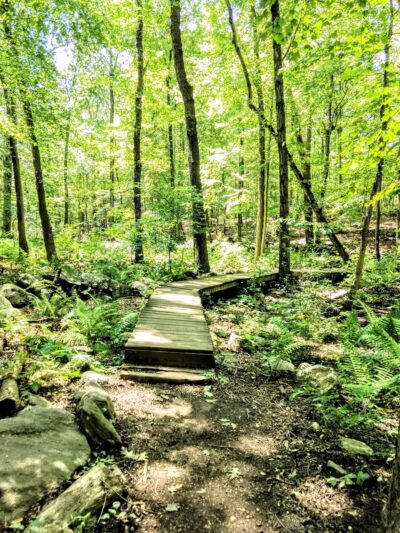 Turkey Mountain Nature Preserve - Yorktown Heights, NY