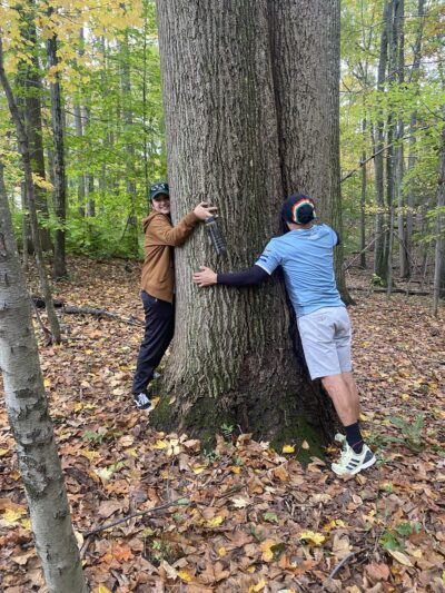 Turkey Mountain Nature Preserve - Yorktown Heights, NY