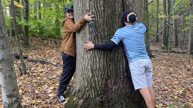 Turkey Mountain Nature Preserve - Yorktown Heights, NY