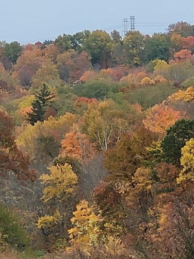Woodlands Legacy Field - Yorktown Heights, NY
