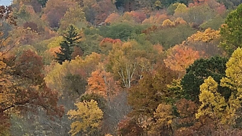 Woodlands Legacy Field - Yorktown Heights, NY