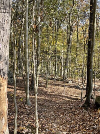 Woodlands Legacy Field - Yorktown Heights, NY