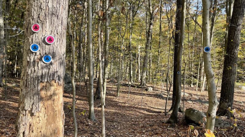 Woodlands Legacy Field - Yorktown Heights, NY