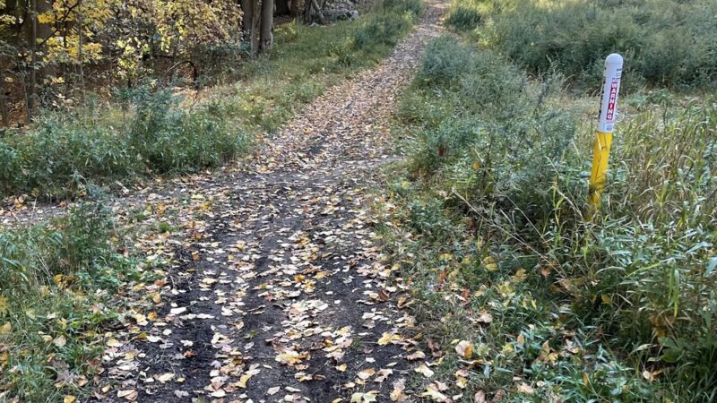 Woodlands Legacy Field - Yorktown Heights, NY