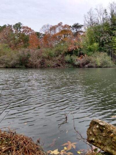 Wolf Trap Park - Yorktown, VA