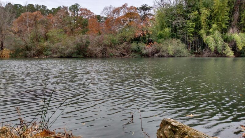Wolf Trap Park - Yorktown, VA
