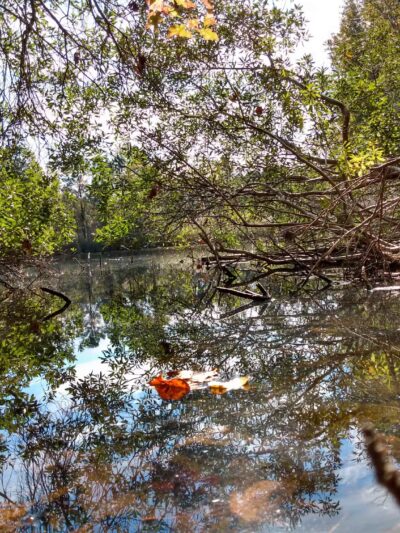 Wolf Trap Park - Yorktown, VA