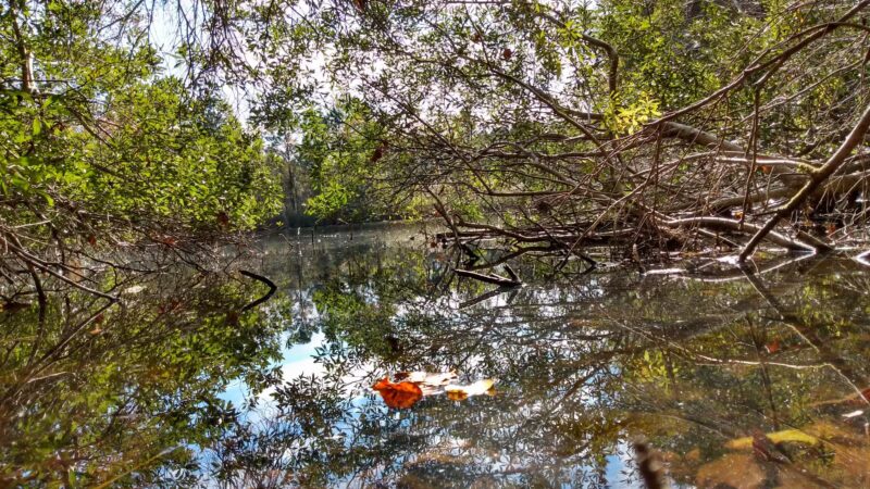 Wolf Trap Park - Yorktown, VA