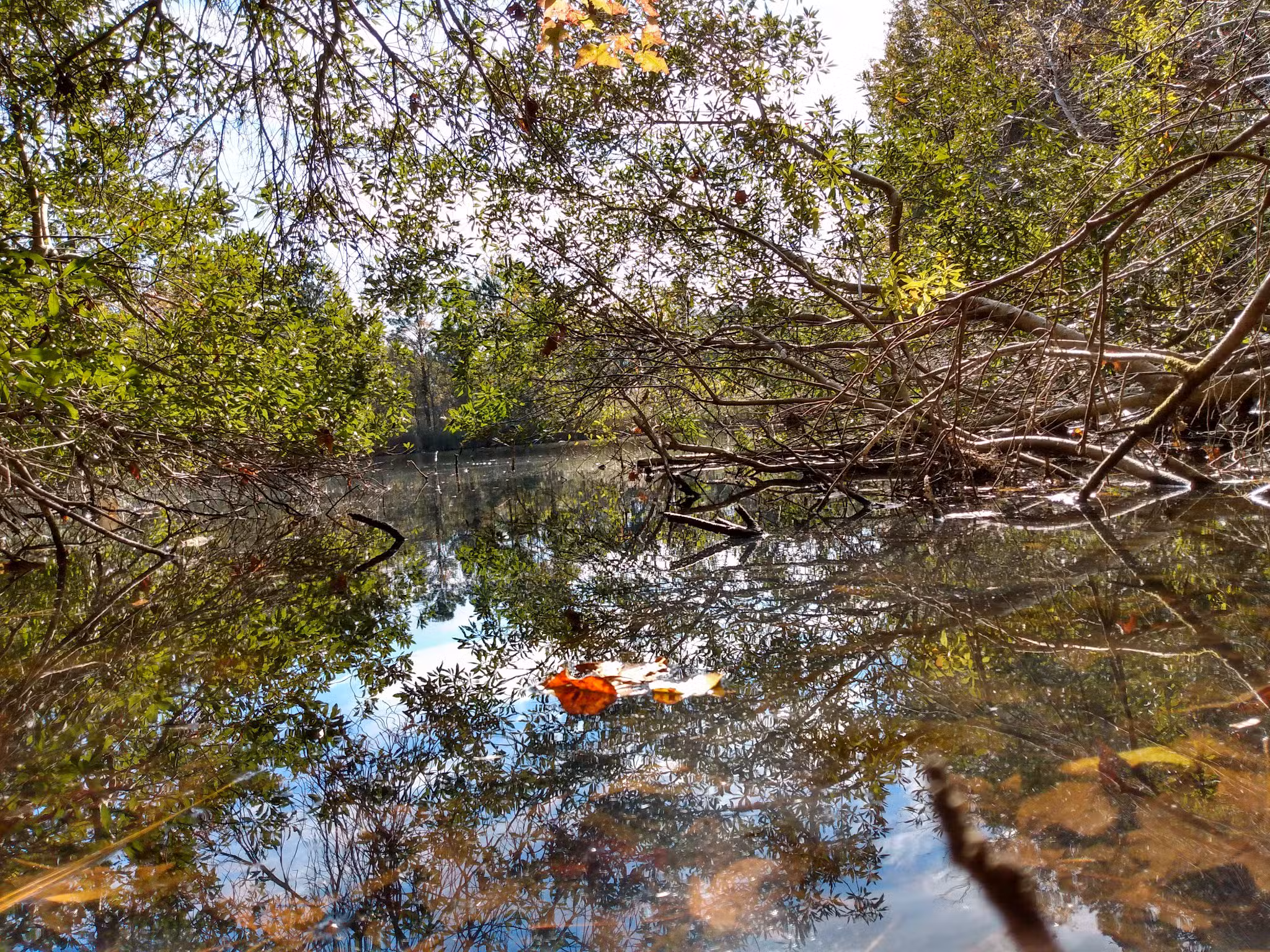 Wolf Trap Park - Yorktown, VA