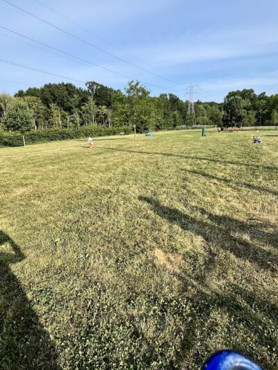 Marge Hartman’s PawsTown - Youngstown, OH