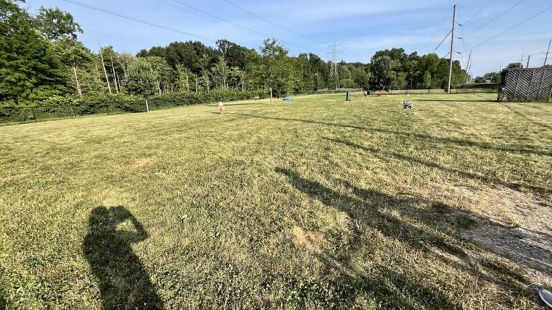 Marge Hartman’s PawsTown - Youngstown, OH