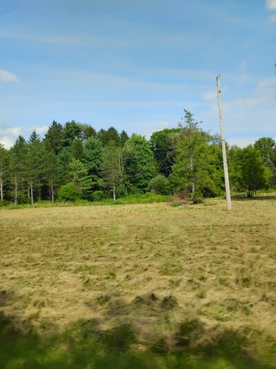 Marge Hartman’s PawsTown - Youngstown, OH