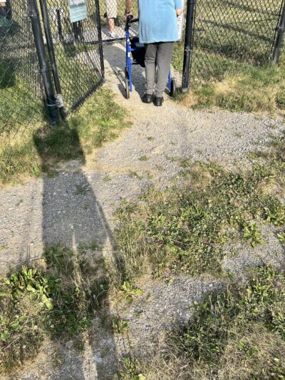 Marge Hartman’s PawsTown - Youngstown, OH