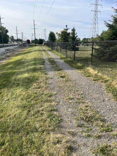 Marge Hartman’s PawsTown - Youngstown, OH