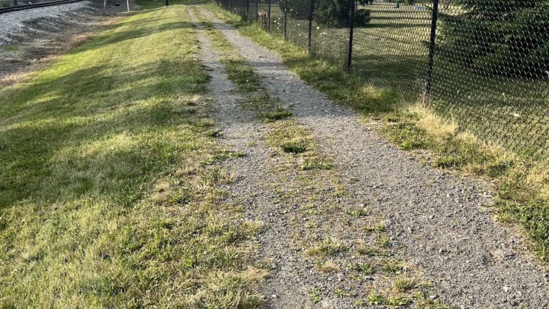 Marge Hartman’s PawsTown - Youngstown, OH