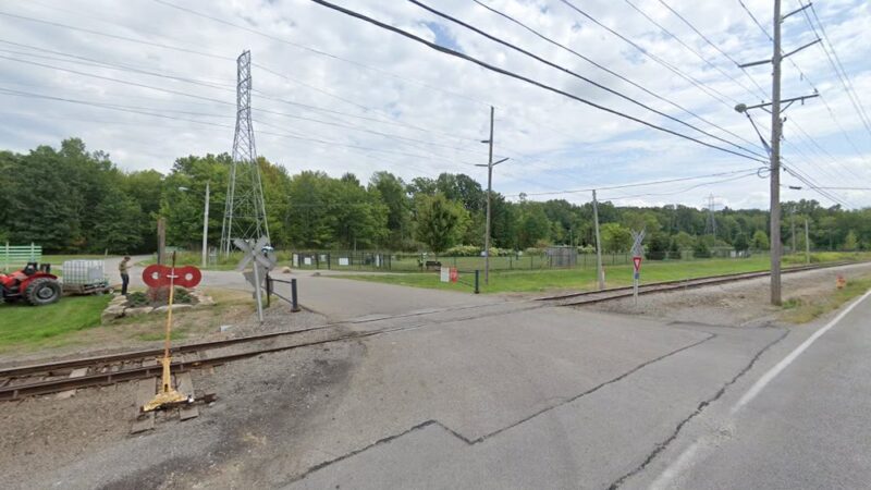 Marge Hartman’s PawsTown - Youngstown, OH