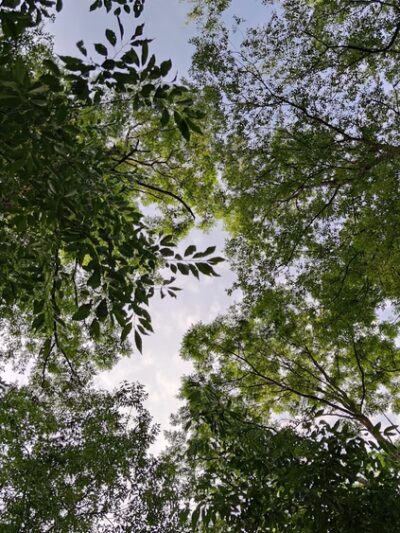 Brokenstraw Creek Bike Hike Trail - Youngsville, PA