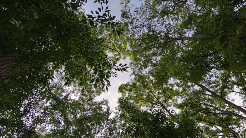 Brokenstraw Creek Bike Hike Trail - Youngsville, PA