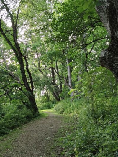 Brokenstraw Creek Bike Hike Trail - Youngsville, PA