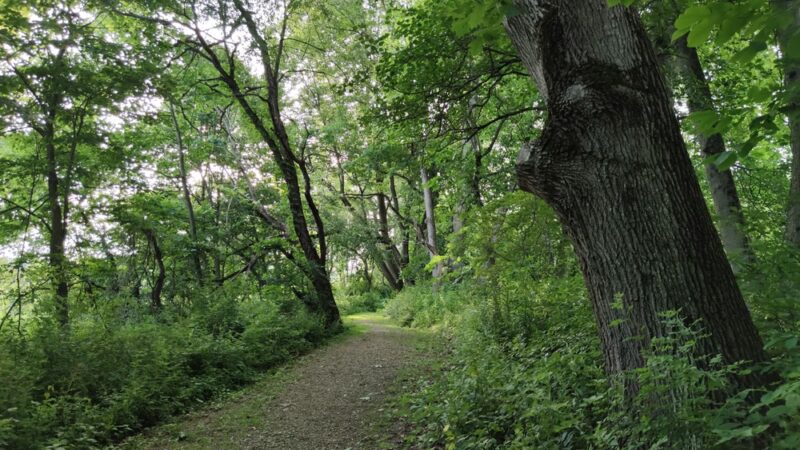 Brokenstraw Creek Bike Hike Trail - Youngsville, PA