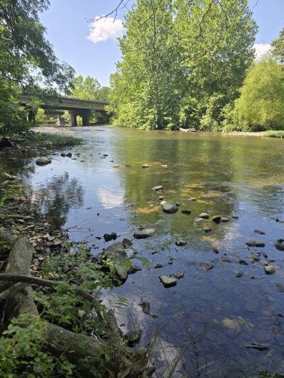 Island Park - Youngsville, PA