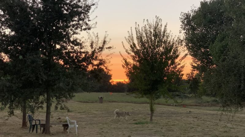 Off the Leash Dog Park - Yuba City, CA